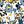 Blue Yellow Floral