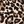 Leopard Print
