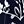 Navy Floral