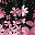 Pink Black Floral