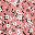 Pink White Floral