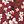 Red Floral