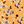 Yellow Floral