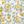 Yellow White Floral