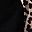 Black Leopard