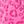 Pink Leopard