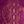 Black Purple