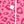 Hot Pink Leopard