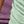 Lightgreengreypurple