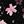 Pink Mauve