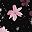 Pink Mauve