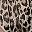 Iconic Leopard
