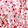 Pink Flower