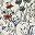 Floral White