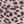 Light Pink Black