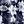 Blue White Floral