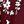 Burgundy Flower Sf