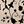 Apricot Black Floral
