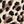 Leoparbrown