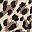 Leoparbrown