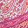 Pink Orange