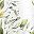 White Green