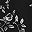 Whitfloral