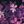 Black Pink Flower