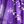 Light Purple Print