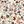 Neutral Floral