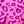 Magenta Pink Orange
