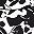 Graphic Floral