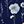 Navy Blue Flowers