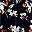 Black Floral