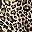 Brown Leopard