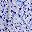 Blue Taupe Cream