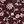 Maroon Wine Mauve