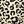 Brown Leopard