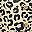 Brown Leopard