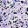 Purple Blue Dots
