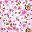 White Pink Florals