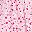 Pink Flower