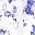 Purple Watercolor