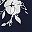 Black Navy Blue