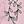 Pink Black Print