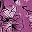 Purple Floral