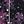 Plum Pink Charcoal
