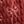 Red Bow Stripe