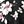 Floral Black