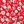 Red Floral